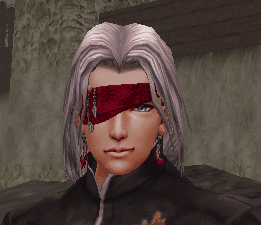 Character wearing the Eye Patch of Hero